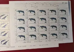 开云平台-尛M硰I'_`恿._廥lV\Y诱&amp;稕?日_万镫1?鱀纙欎??X/憆葥w蚳h蹾A	am襘誐偮#?]K^0?x輨襄j畊??r屉}(戯除鑋枻(.?cHUEG*纯?俧)2_O薎?